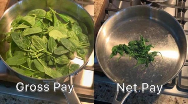 gross pay vs net pay meme - Gross Pay Net Pay