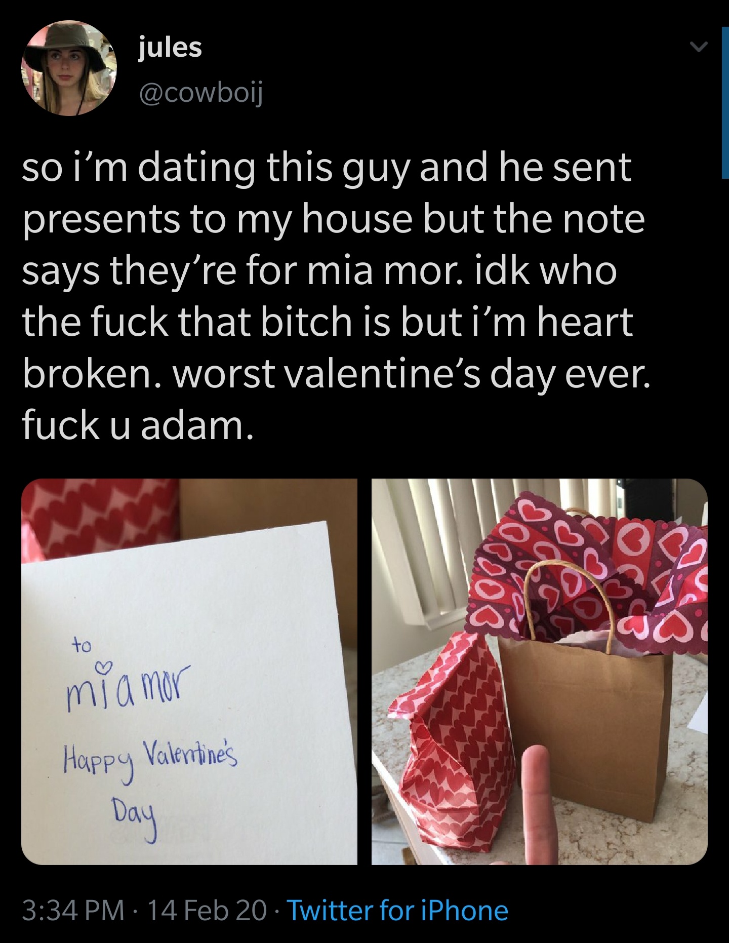 adele someone like you lyrics - jules so i'm dating this guy and he sent presents to my house but the note says they're for mia mor. idk who the fuck that bitch is but i'm heart broken. worst valentine's day ever. fuck u adam. 90000 mi amor Happy Valentin
