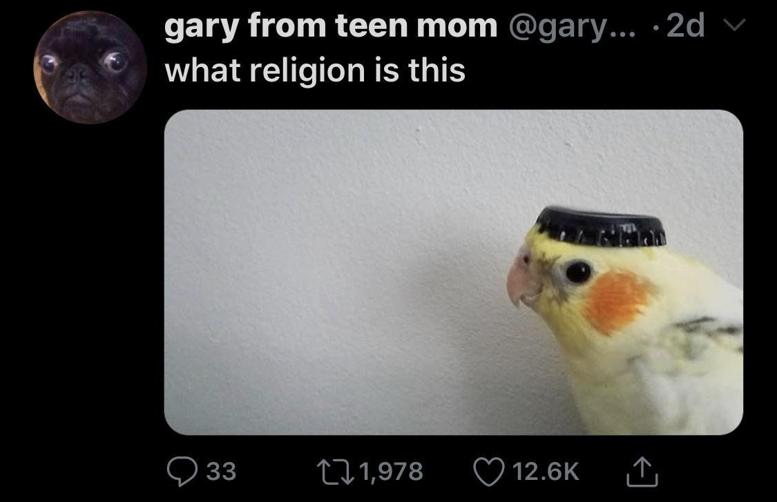 beak - gary from teen mom ... 2d v what religion is this 9 33 271,978