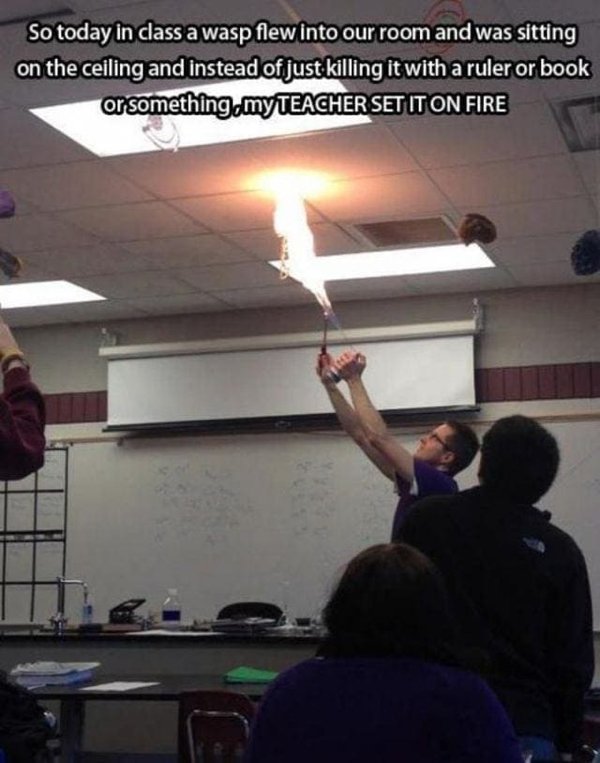 teacher fire meme - So today in class a wasp flew into our room and was sitting on the ceiling and instead of just killing it with a ruler or book or something.my Teacher Set It On Fire