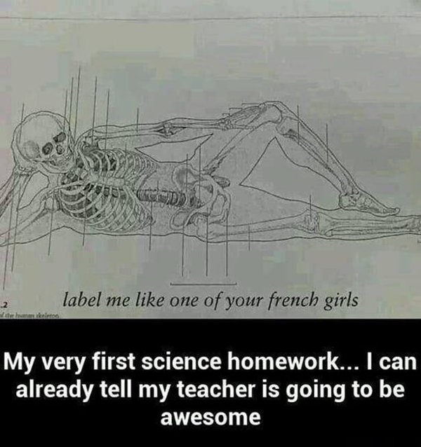 draw me like one of your french girls - label me one of your french girls der My very first science homework... I can already tell my teacher is going to be awesome
