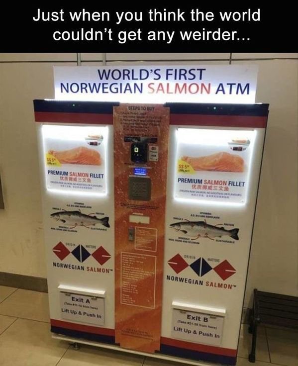 Singapore - Just when you think the world couldn't get any weirder... World'S First Norwegian Salmon Atm Steps To Buy Premium Salmon Fillet Ner Premium Salmon Fillet Dire Norwegian Salmon Norwegian Salmon Exit A Li Up & Push In Exit B Lift Up & Push In