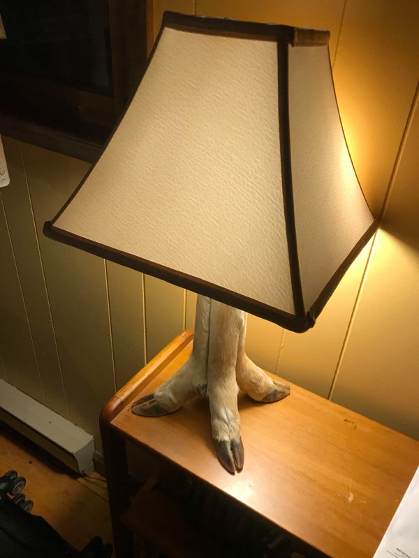 lampshade