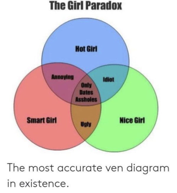 boy venn diagram - The Girl Paradox Hot Girl Idiot Annoying Only Dates Assholes Smart Girl Nice Girl Ugly The most accurate ven diagram in existence.