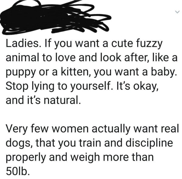 all i do is win - Ladies. If you want a cute fuzzy animal to love and look after, a puppy or a kitten, you want a baby. Stop lying to yourself. It's okay, and it's natural. Very few women actually want real dogs, that you train and discipline properly and