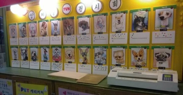 In South Korea, it’s popular to draw caricatures of pets, not people.