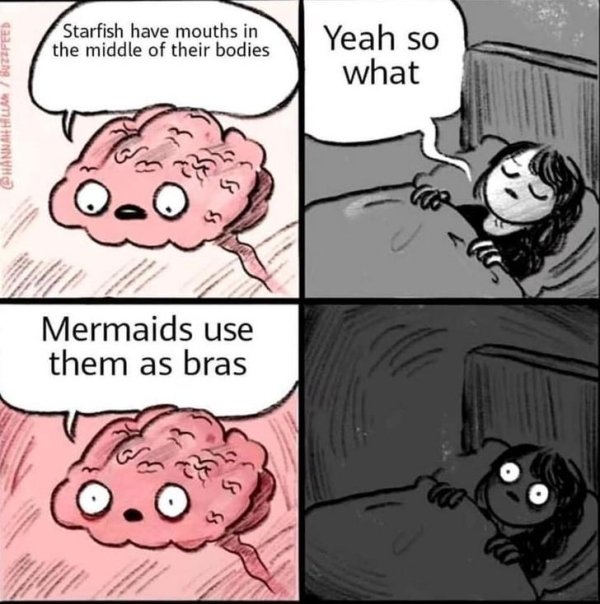 reddit memes - Starfish have mouths in the middle of their bodies Yeah so what Hannah Hilar Buzzfeed >> S Mermaids use them as bras B