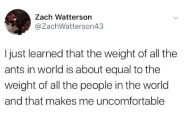 things white people say funny - Zach Watterson I just learned that the weight of all the ants in world is about equal to the weight of all the people in the world and that makes me uncomfortable