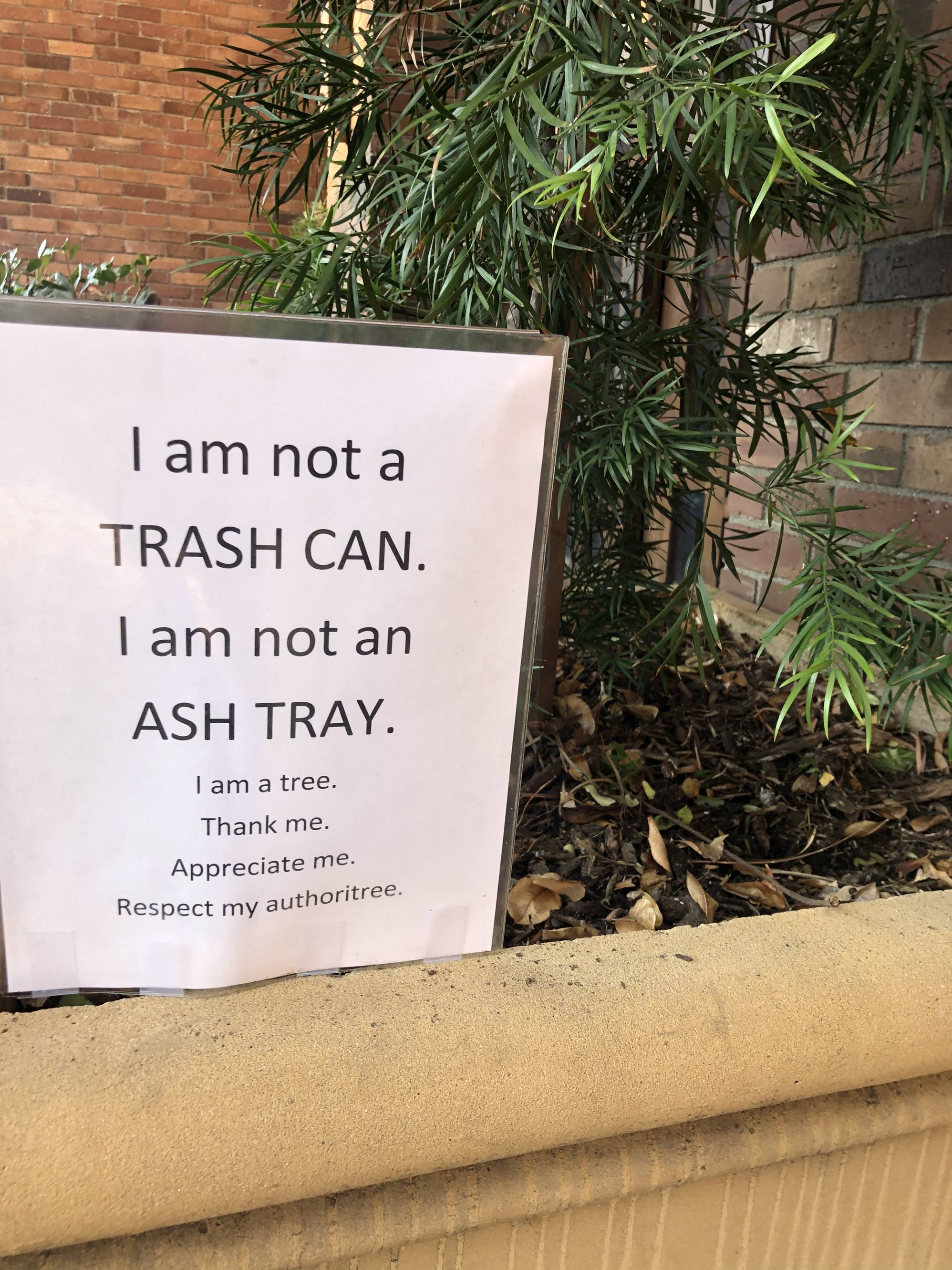 herb - I am not a Trash Can. I am not an Ash Tray. I am a tree. Thank me Appreciate me Respect my authoritree