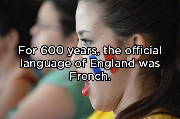 biocombustible - For 600 years, the official language of England was French.