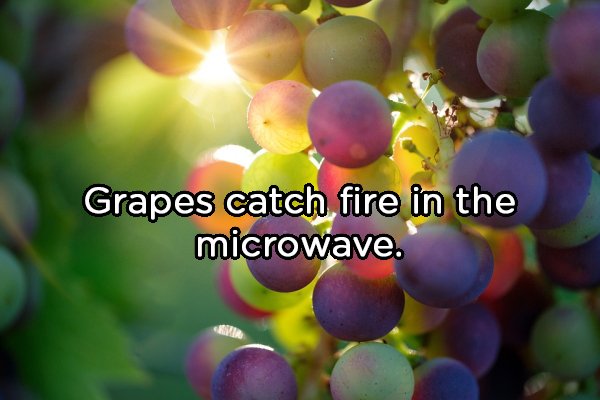 sun grapes - Grapes catch fire in the microwave.
