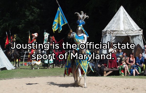 medieval tournament knight - Jousting is the official state sport of Maryland.