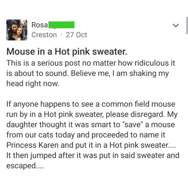 document - Rosa Creston 27 Oct Mouse in a Hot pink sweater. This is a serious post no matter how ridiculous it is about to sound. Believe me, I am shaking my head right now. If anyone happens to see a common field mouse run by in a Hot pink sweater, pleas