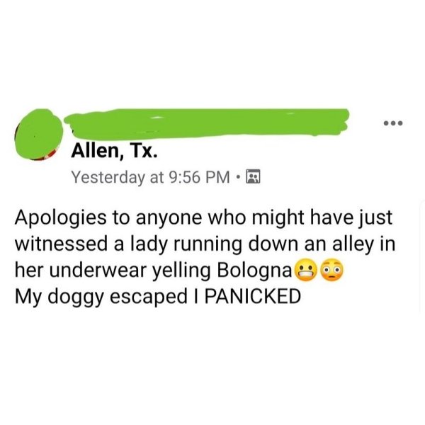 diagram - Allen, Tx. Yesterday at A Apologies to anyone who might have just witnessed a lady running down an alley in her underwear yelling Bologna My doggy escaped I Panicked