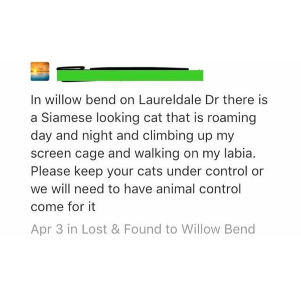 document - In willow bend on Laureldale Dr there is a Siamese looking cat that is roaming day and night and climbing up my screen cage and walking on my labia. Please keep your cats under control or we will need to have animal control come for it Apr 3 in