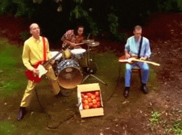 peaches presidents of the united states gif