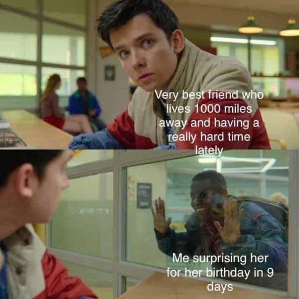 sex education meme template - Very best friend who lives 1000 miles away and having a really hard time lately Me surprising her for her birthday in 9 days