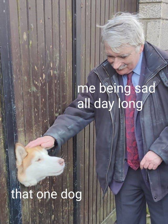 Meme - me being sad all day long that one dog