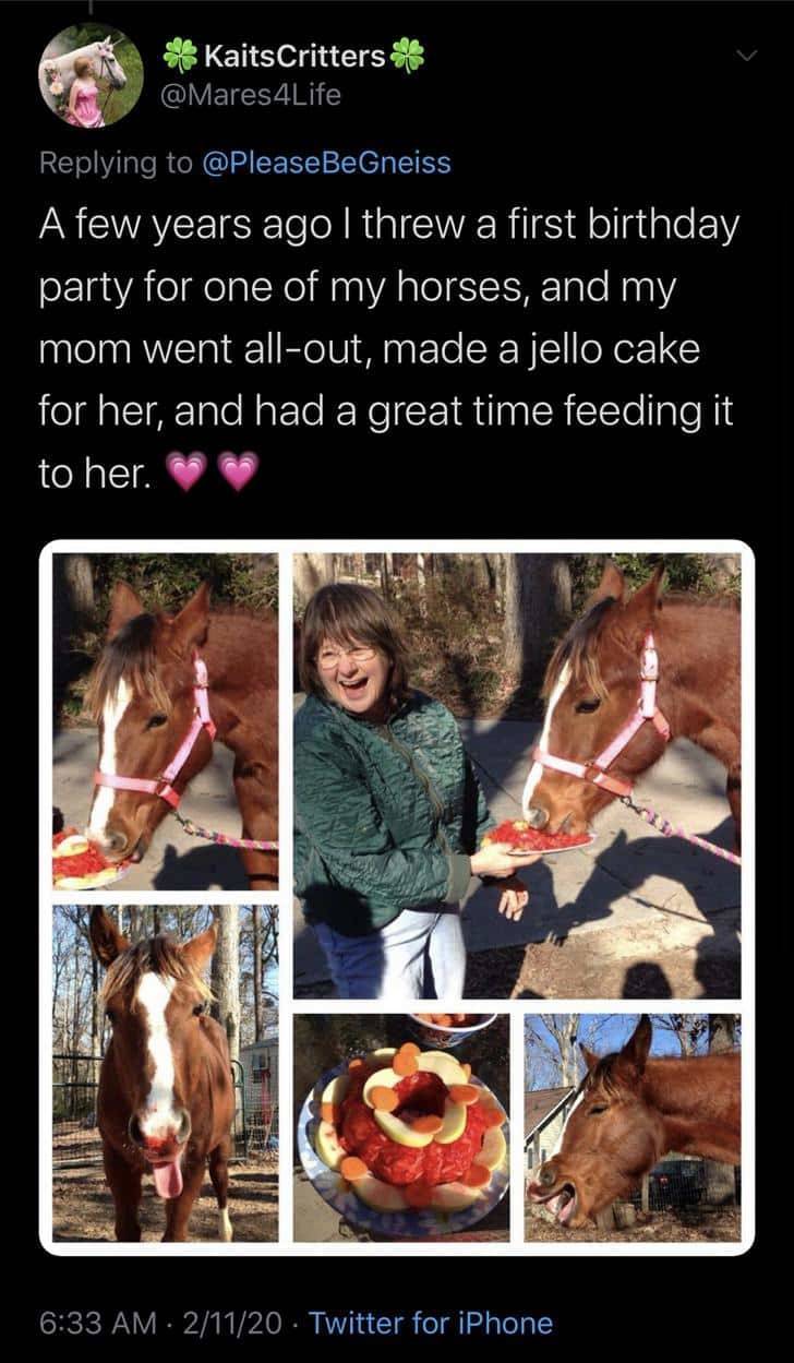 human - Kaits Critters A few years ago I threw a first birthday party for one of my horses, and my mom went allout, made a jello cake for her, and had a great time feeding it to her. 21120 Twitter for iPhone