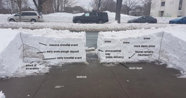 What you can learn from a cross section of the snow in your yard