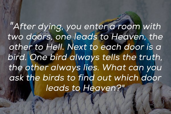 photo caption - "After dying, you enter a room with two doors, one leads to Heaven, the other to Hell. Next to each door is a bird. One bird always tells the truth, the other always lies. What can you ask the birds to find out which door leads to Heaven?"
