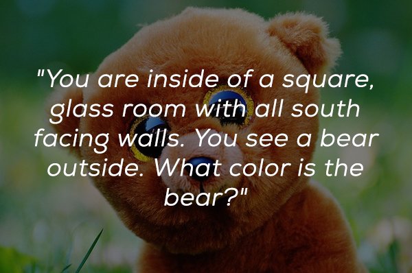 photo caption - "You are inside of a square, glass room with all south facing walls. You see a bear outside. What color is the bear?"