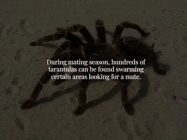 17 Creepy Facts You Might Not Want to Know.