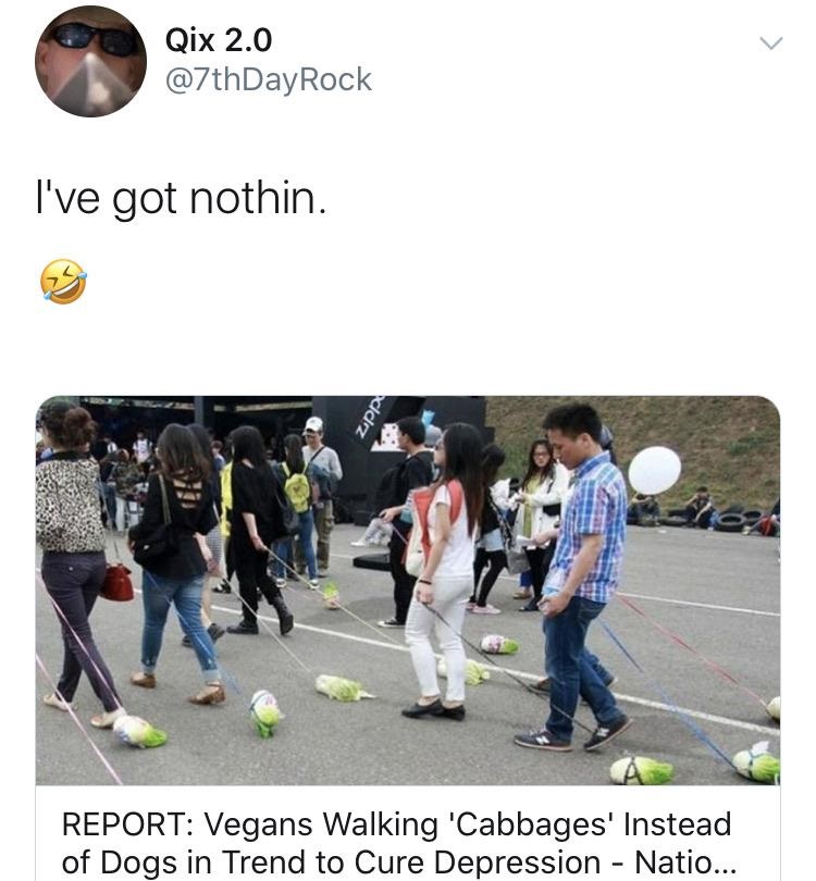 Qix 2.0 Rock I've got nothin. zipp Report Vegans Walking 'Cabbages' Instead of Dogs in Trend to Cure Depression Natio...