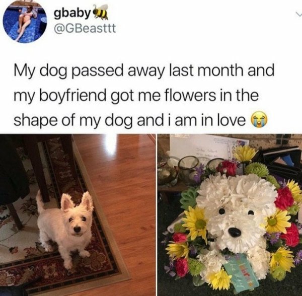 dog died flowers - gbaby na My dog passed away last month and my boyfriend got me flowers in the shape of my dog and i am in love