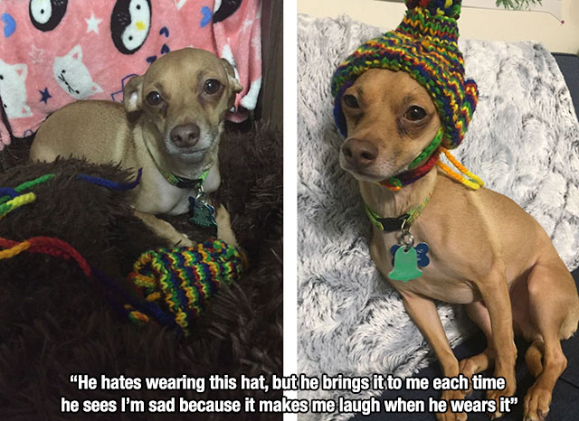 photo caption - "He hates wearing this hat, but he brings it to me each time he sees I'm sad because it makes me laugh when he wears it"