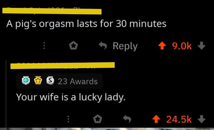 pig's orgasm is 30 minutes your wife - A pig's orgasm lasts for 30 minutes $ 23 Awards Your wife is a lucky lady. i