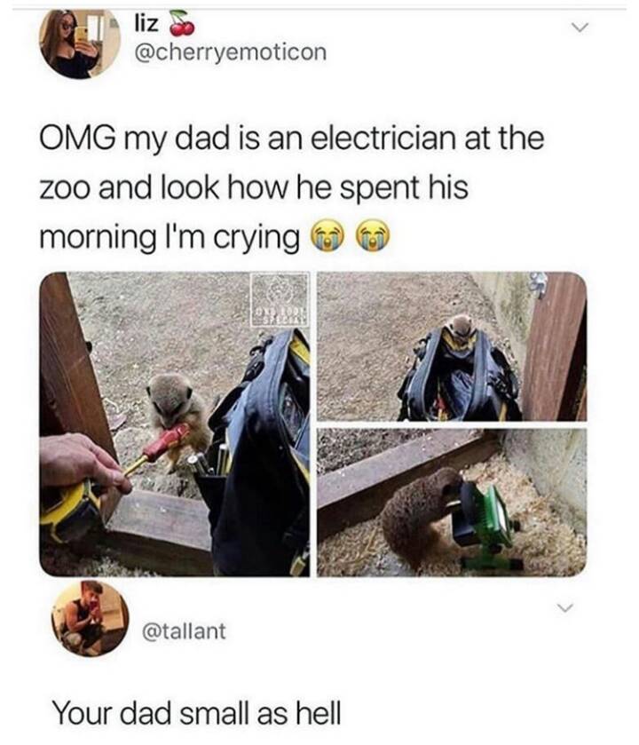 your dad small as hell meme - liz Omg my dad is an electrician at the zoo and look how he spent his morning I'm crying Your dad small as hell