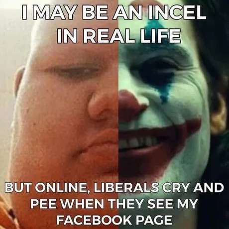 one ticket to joker please - I May Be An Incel In Real Life But Online, Liberals Cry And Pee When They See My Facebook Page