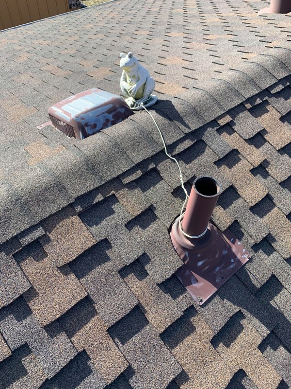 This frog statue I found tied up on the roof of the house we just bought.