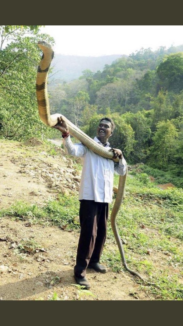 vava suresh with king cobra