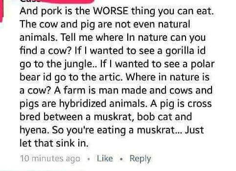 pig muskrat hyena - And pork is the Worse thing you can eat. The cow and pig are not even natural animals. Tell me where In nature can you find a cow? If I wanted to see a gorilla id go to the jungle.. If I wanted to see a polar bear id go to the artic. W