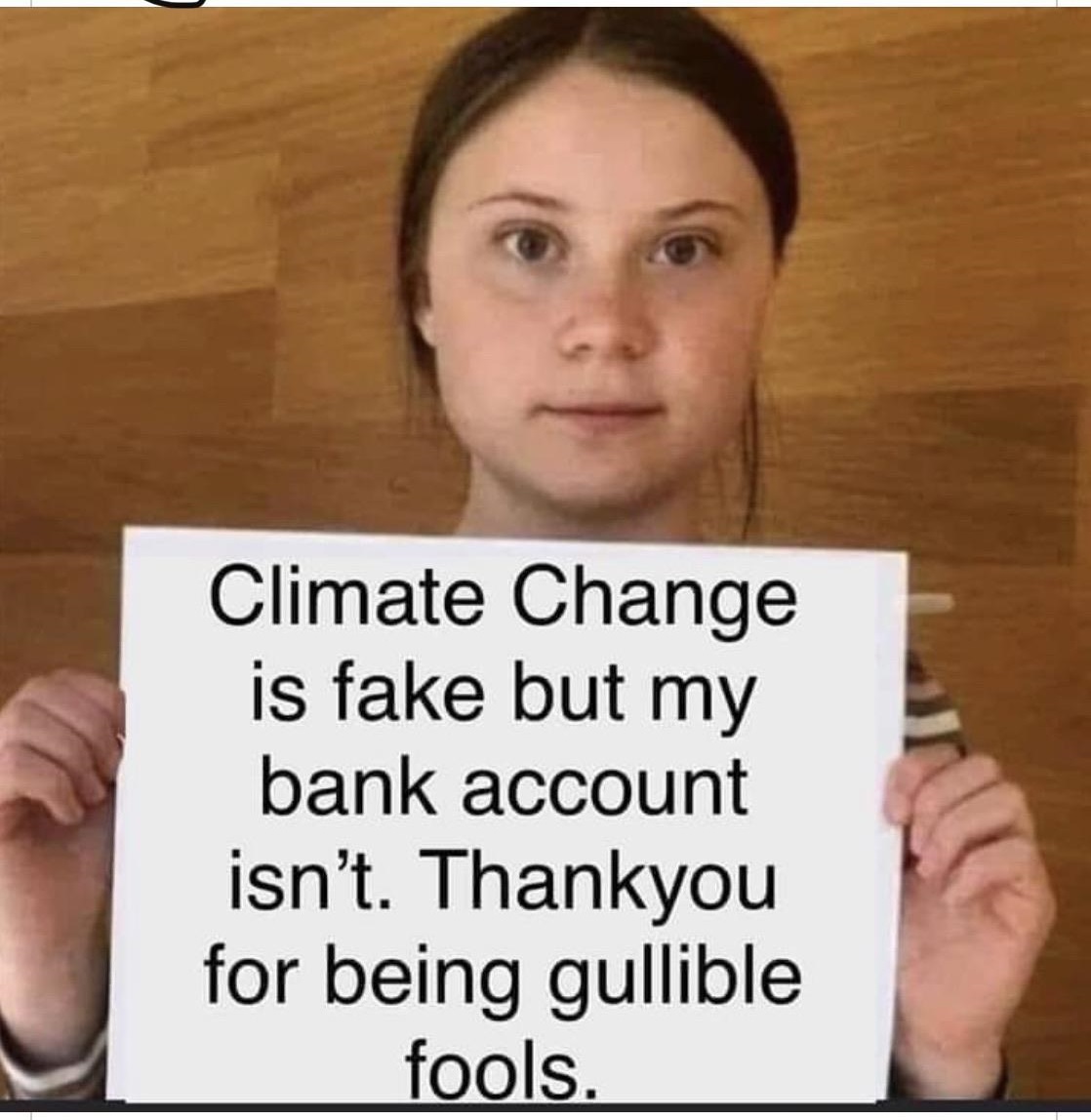 you shall not - Climate Change is fake but my bank account isn't. Thankyou for being gullible fools.