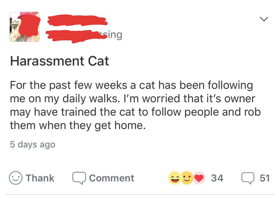 Cat - nsing Harassment Cat For the past few weeks a cat has been ing me on my daily walks. I'm worried that it's owner may have trained the cat to people and rob them when they get home. 5 days ago Thank Q Comment 34 Q 51