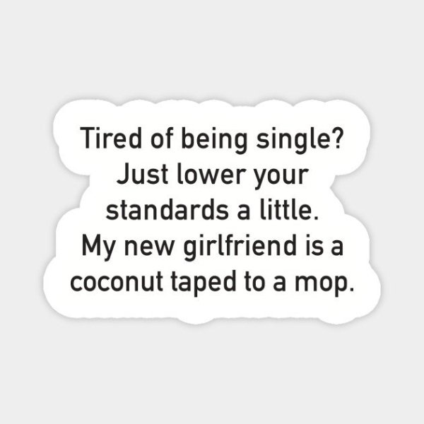 startupbus - Tired of being single? Just lower your standards a little. My new girlfriend is a coconut taped to a mop.