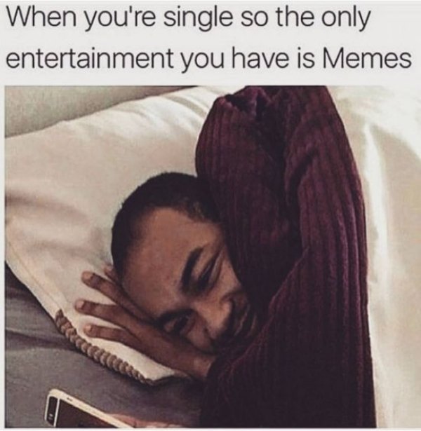 single life funny single memes - When you're single so the only entertainment you have is Memes