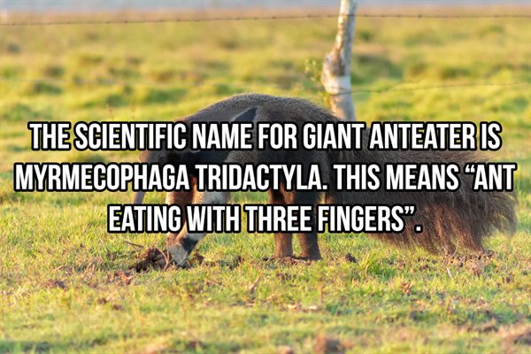 18 Fascinating Facts You Probably Didn't Know.