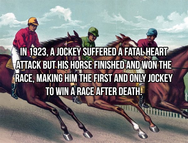 18 Fascinating Facts You Probably Didn't Know.