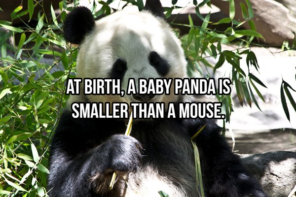 18 Fascinating Facts You Probably Didn't Know.