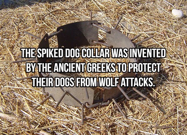 18 Fascinating Facts You Probably Didn't Know.