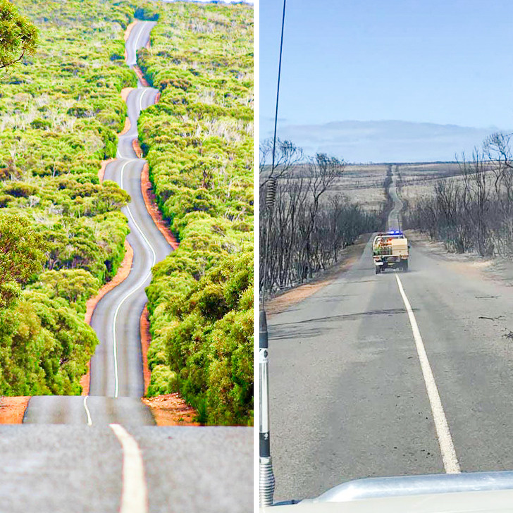 How the fires have changed Australia: this is the same road.