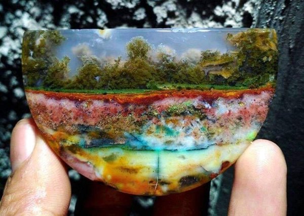 Moss agate from Indonesia that looks like a forest with a cloud filled sky in the background!