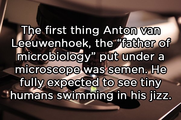 photo caption - The first thing Anton van Leeuwenhoek, the "father of microbiology" put under a microscope was semen. He fully expected to see tiny humans swimming in his jizz.