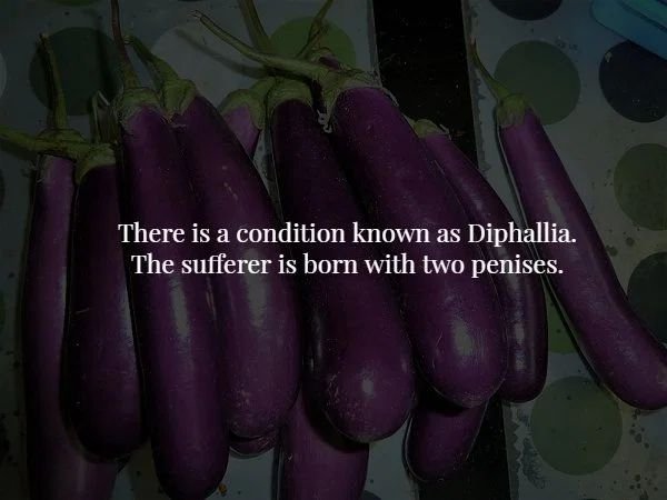 disturbing facts - There is a condition known as Diphallia. The sufferer is born with two penises.