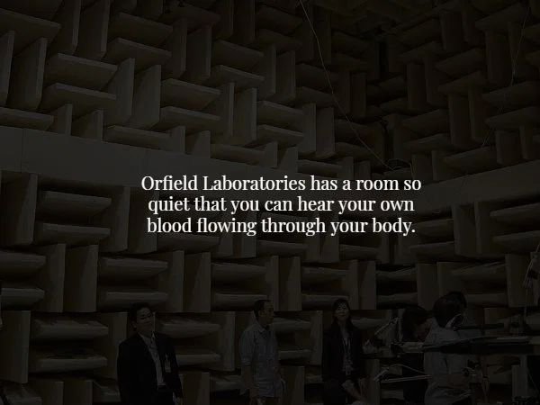 texture - Orfield Laboratories has a room so quiet that you can hear your own blood flowing through your body.