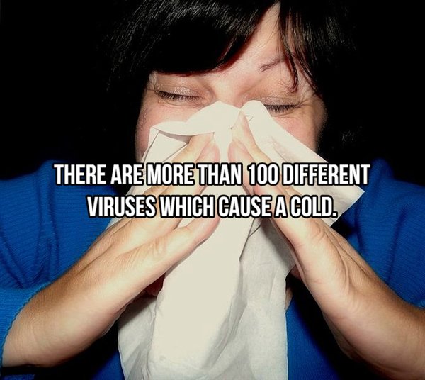 Common cold - There Are More Than 100 Different Viruses Which Cause A Cold.